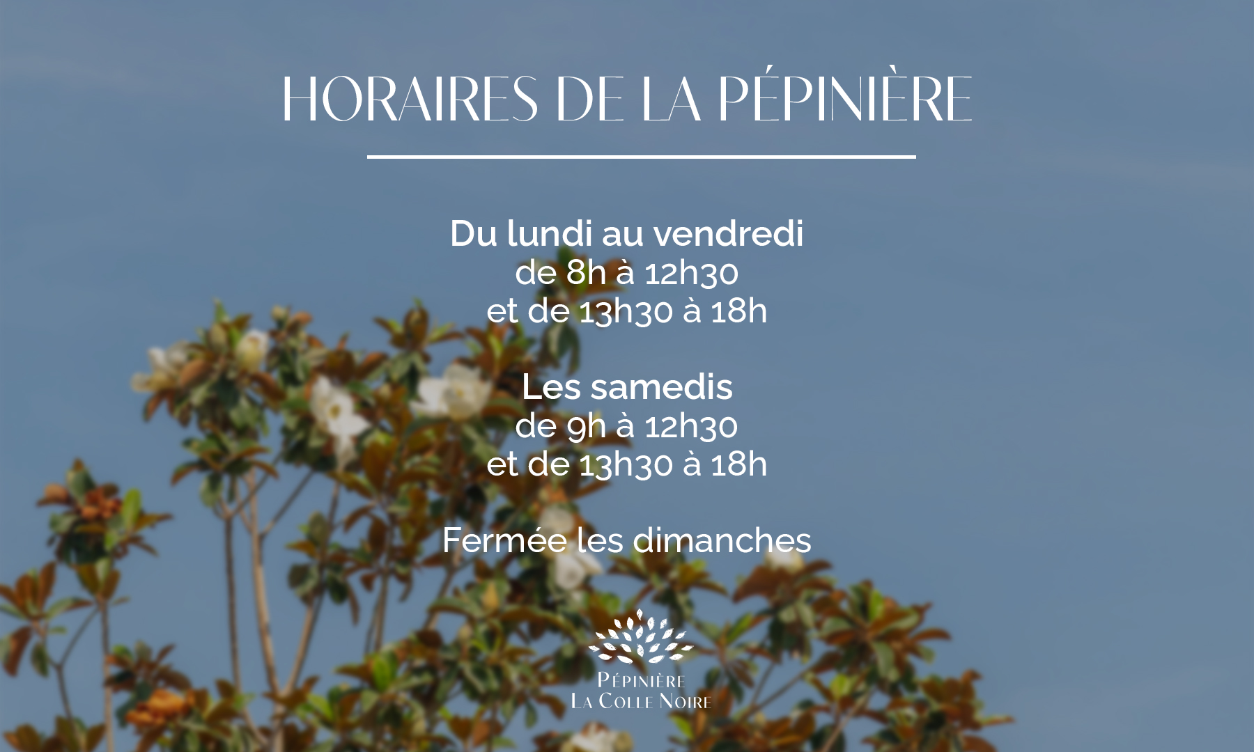 Pop-up-horaires-Pépinière_hiver-2